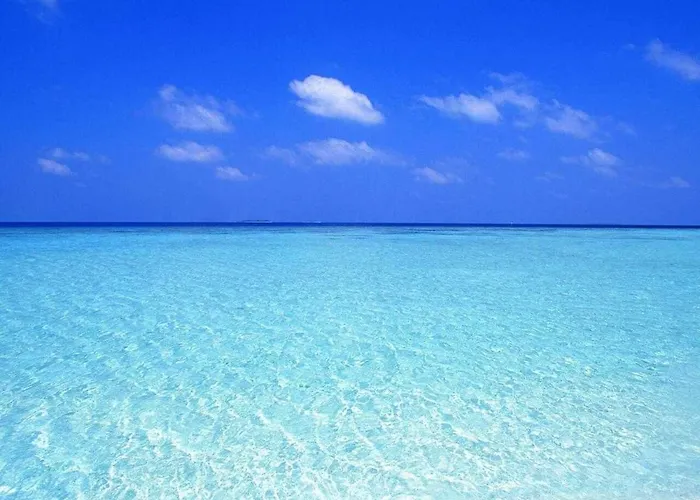 Casa de hóspedes Luxury - Salento Selection 3*